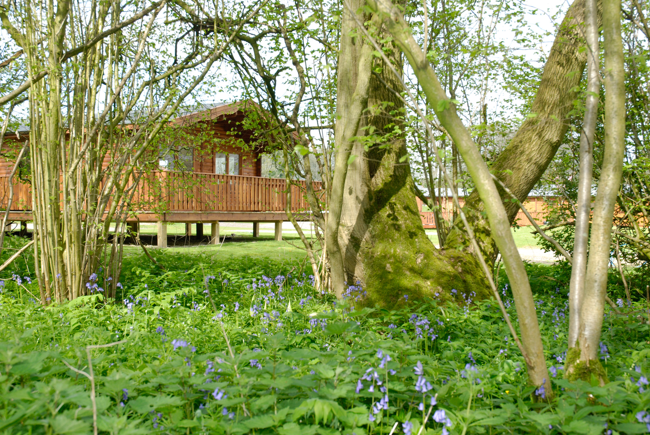South Winchester Lodges in Winchester, United Kingdom